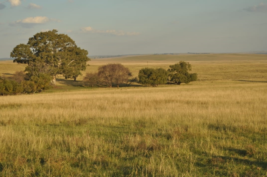 5 Bedroom Property for Sale in Reitz Rural Free State